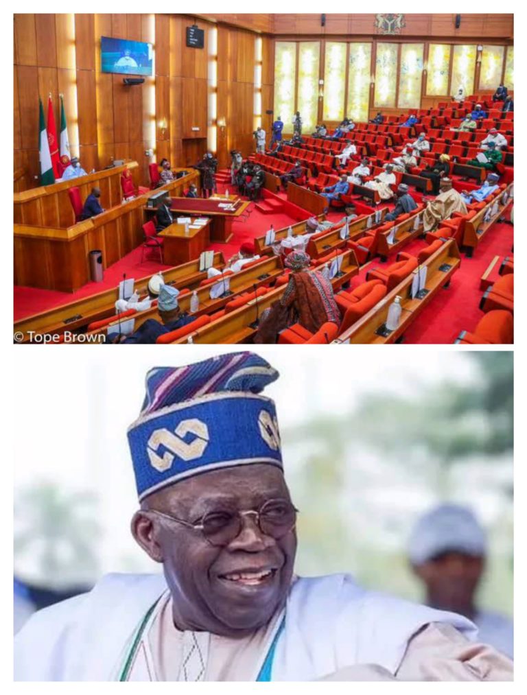 CONVENE NATIONAL DIALOGUE ON LOCAL GOVT AUTONOMY, SENATE URGES TINUBU