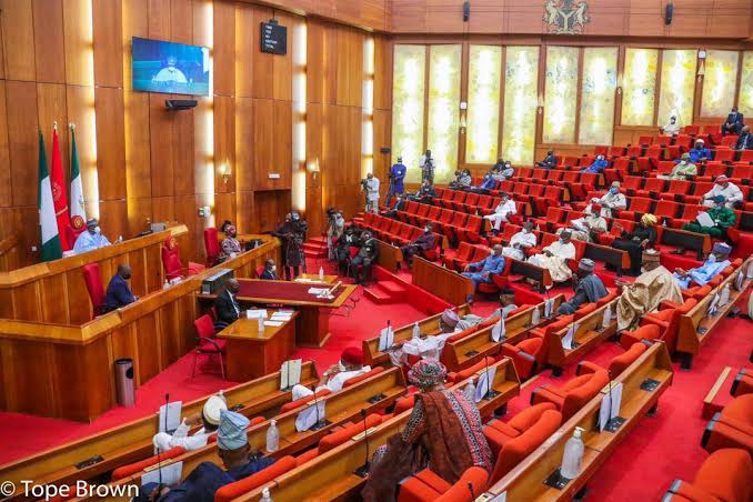 INEC TO CONDUCT LG’s ELECTION— SENATE