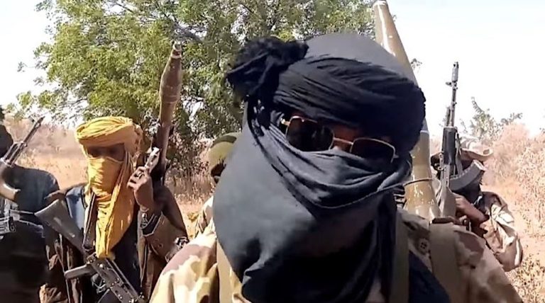 WHY BOKO HARAM THRIVES IN THE NORTH-EAST— FORMER DIRECTOR…