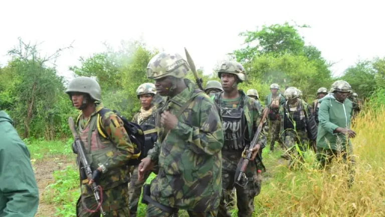 BANDITS DEAD BODIES LITTERED KADUNA FOREST