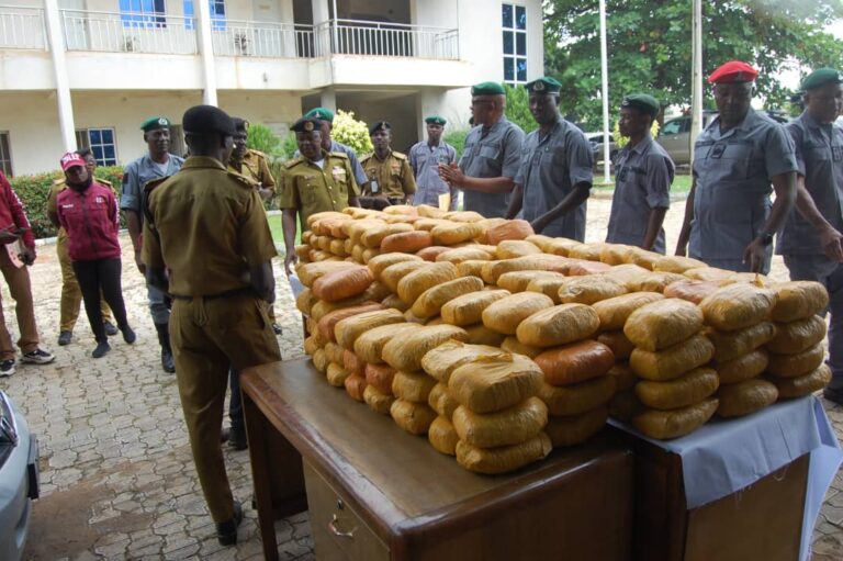 NIGER/ KOGI AREA COMMAND OF NIGERIAN CUSTOM INTERCEPTS 283 WRAPS OF CANNIBIS.