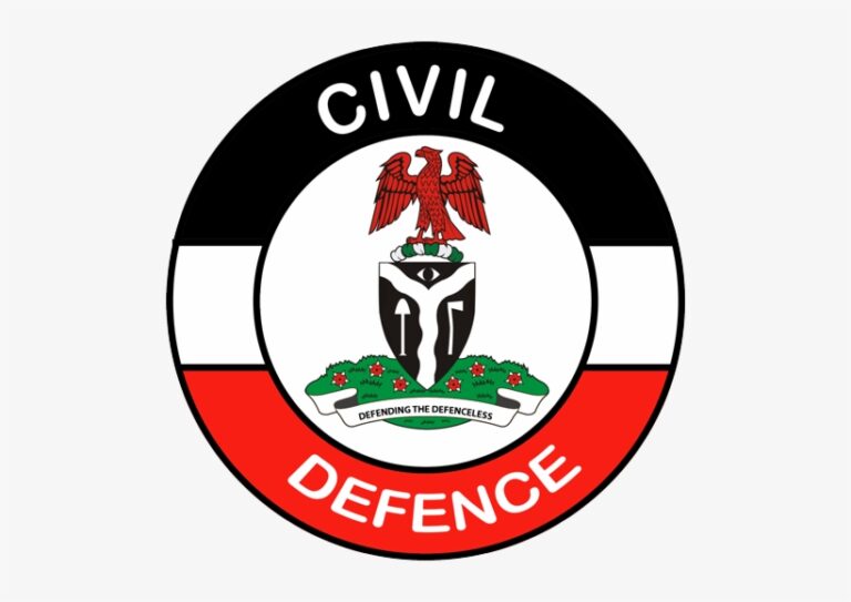 ILLEGAL REVENUE COLLECTION, NSCDC PARADES TWO SUSPECTS…