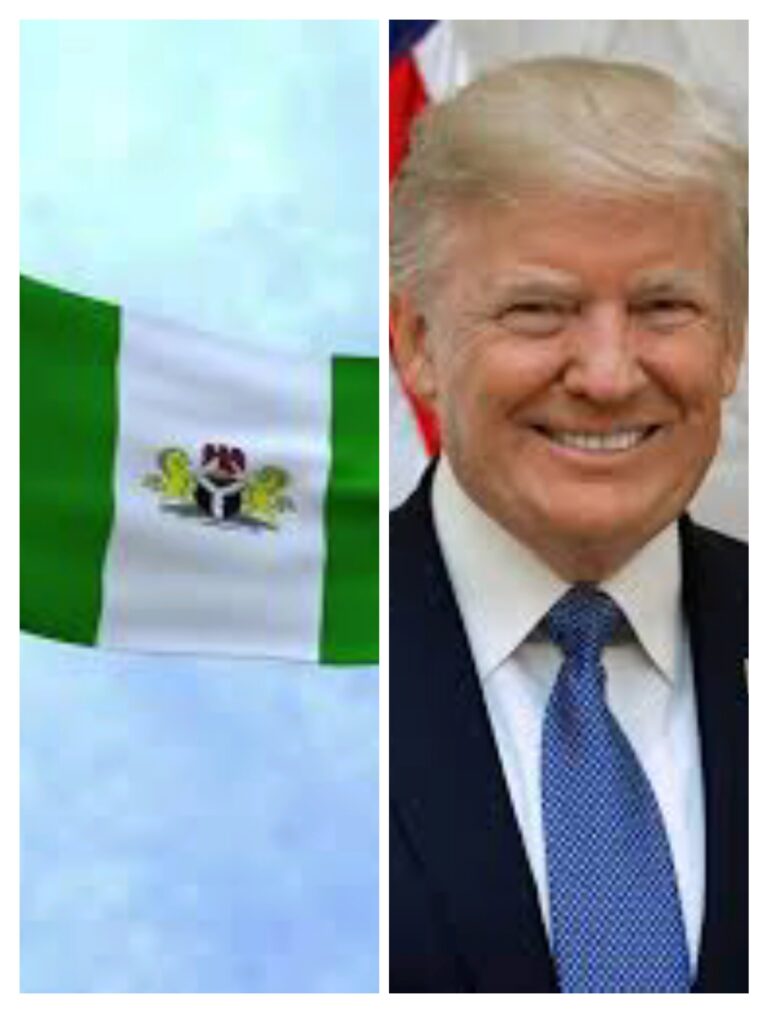 ILLEGAL IMMIGRANTS, TRUMP TO DEPORT 3690 NIGERIANS FROM US…