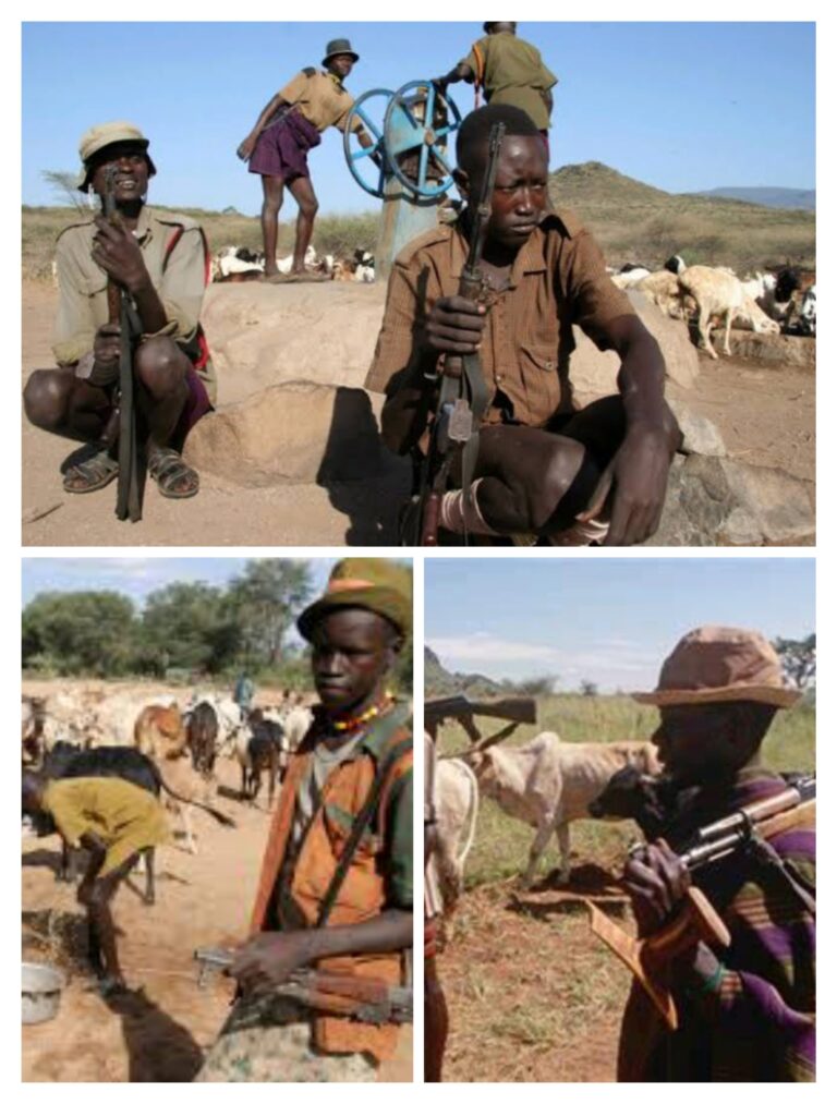 TWO KILLED IN PLATEAU FRESH ATTACK…..