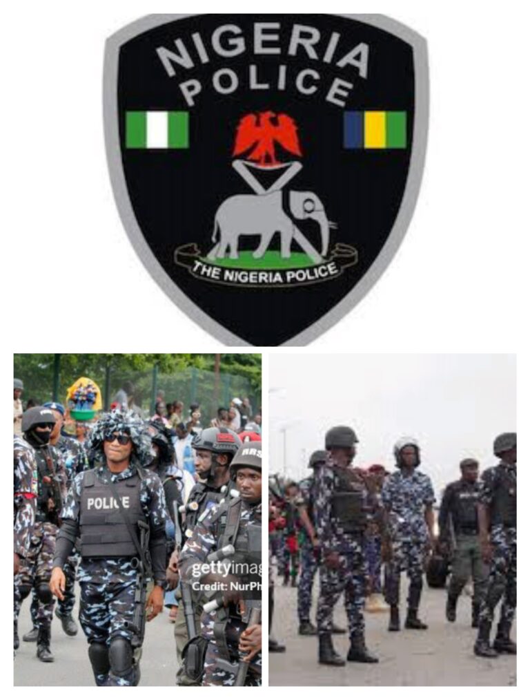 FOUR SUSPECTED  ARMED ROBBERS ARRESTED BY POLICE IN ANAMBRA.